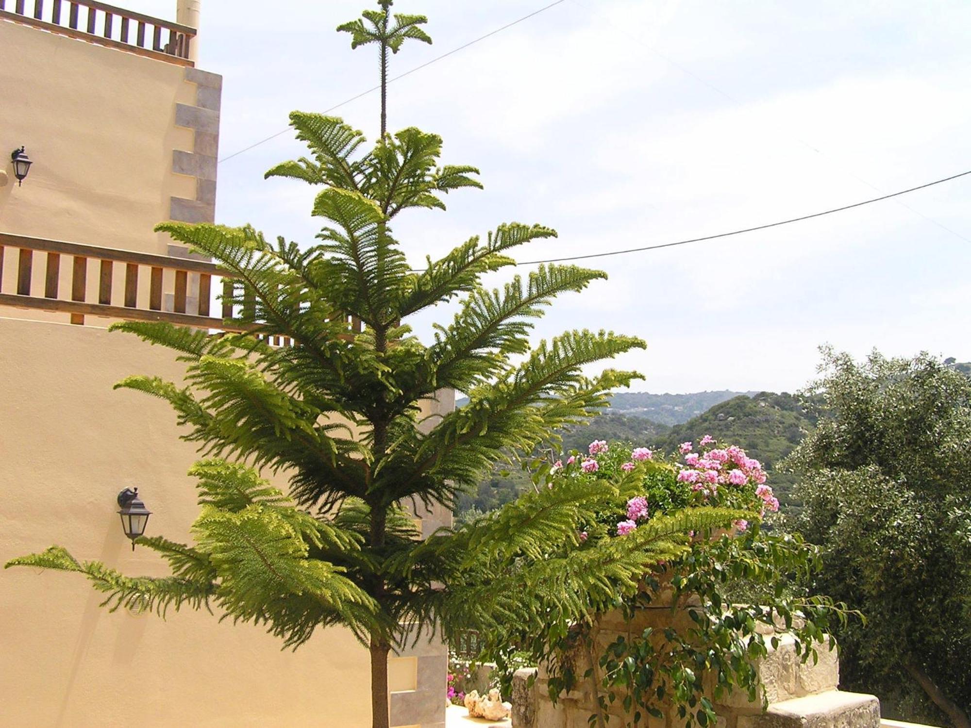 Villa Stratos *