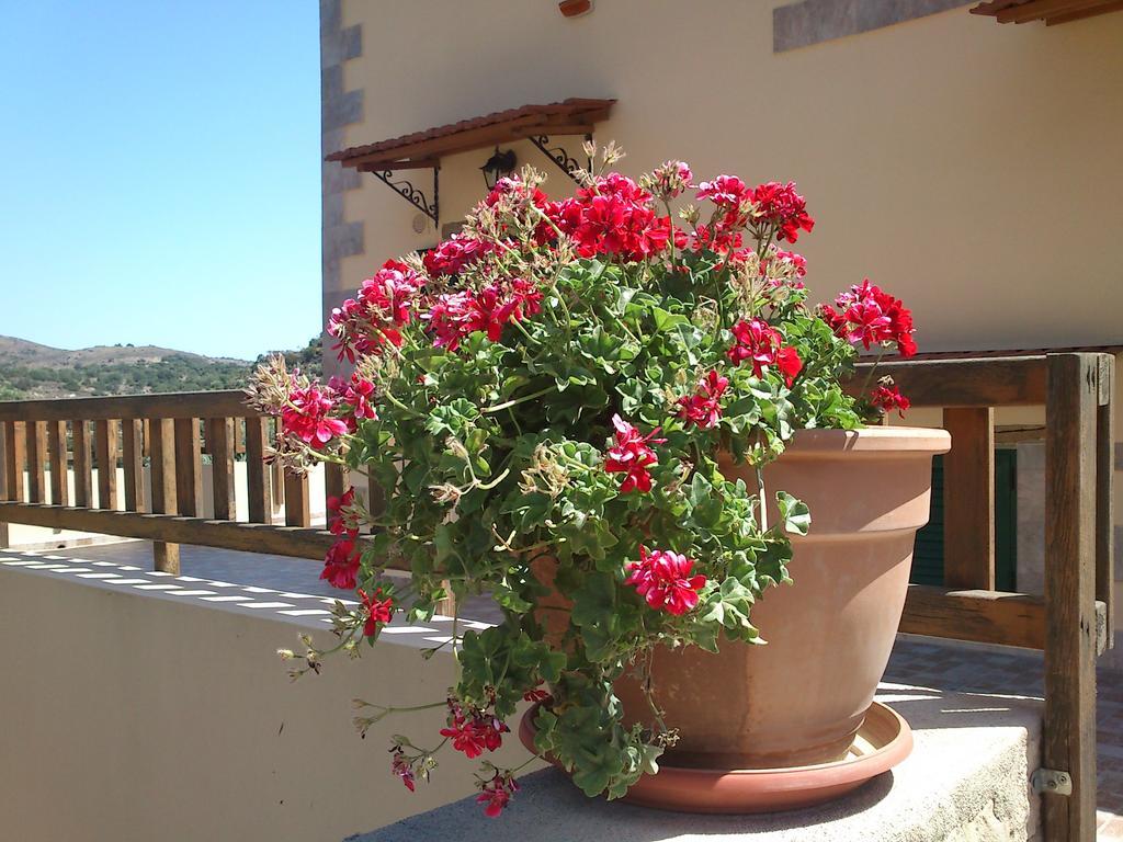 Stratos Villas Kaloniktis