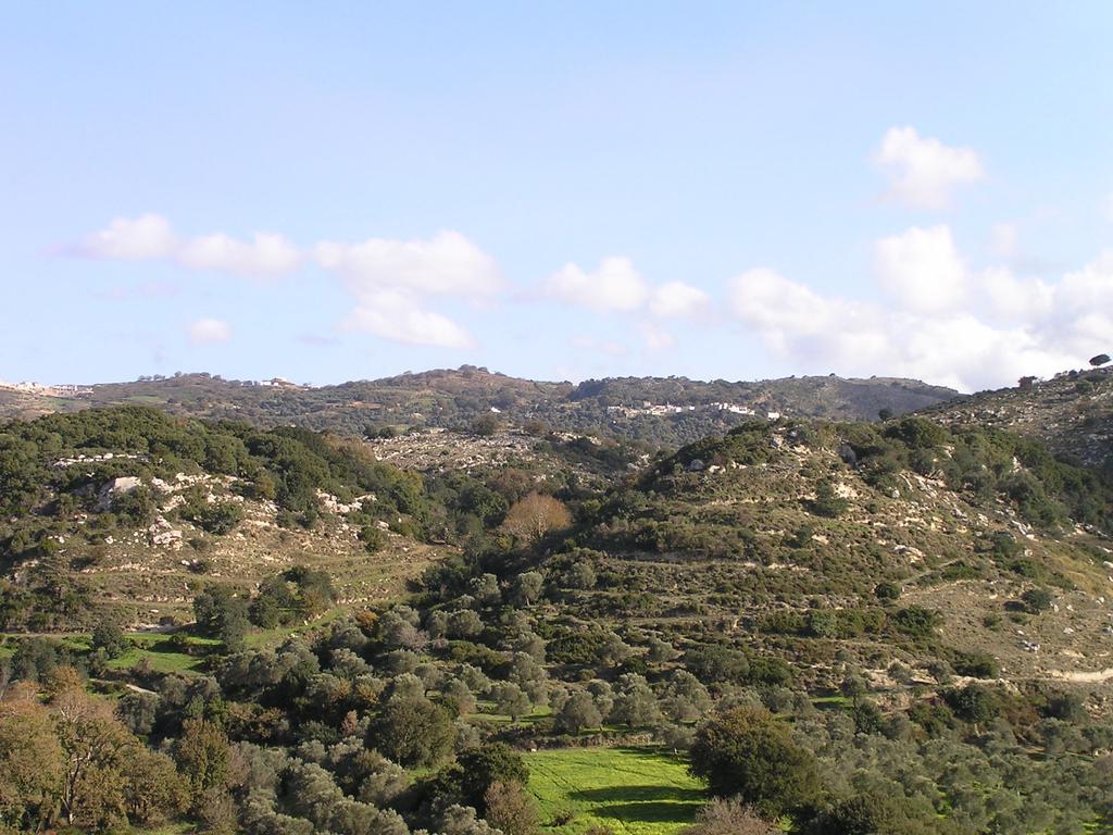 Stratos Kaloniktis