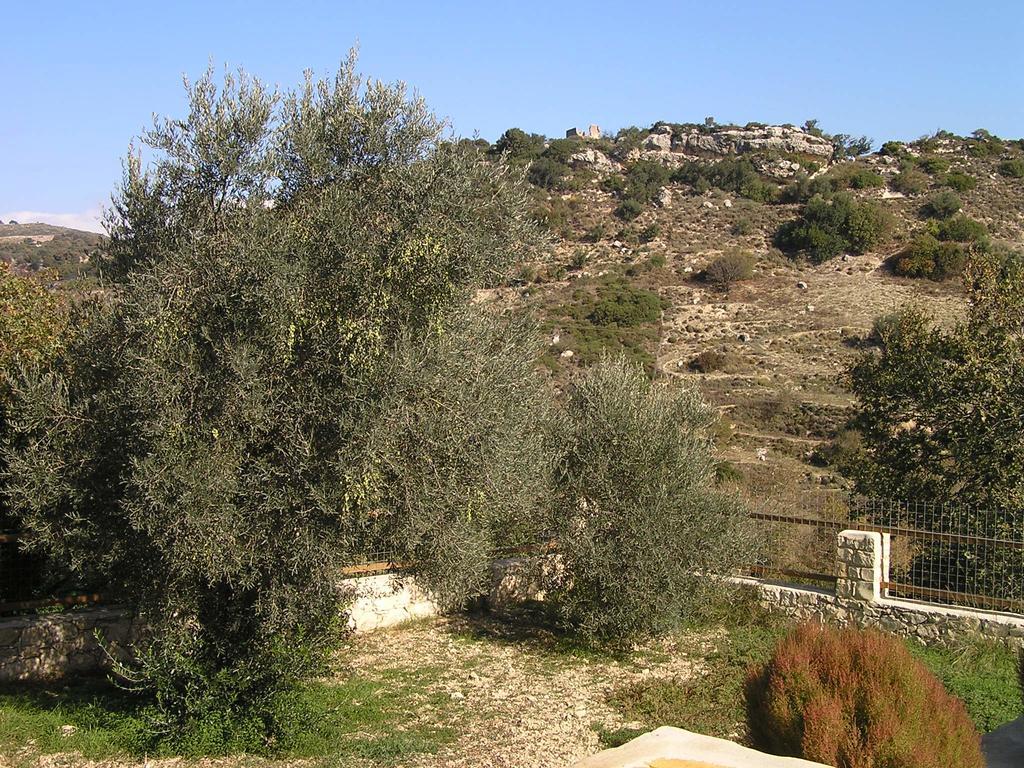 Villa Stratos *